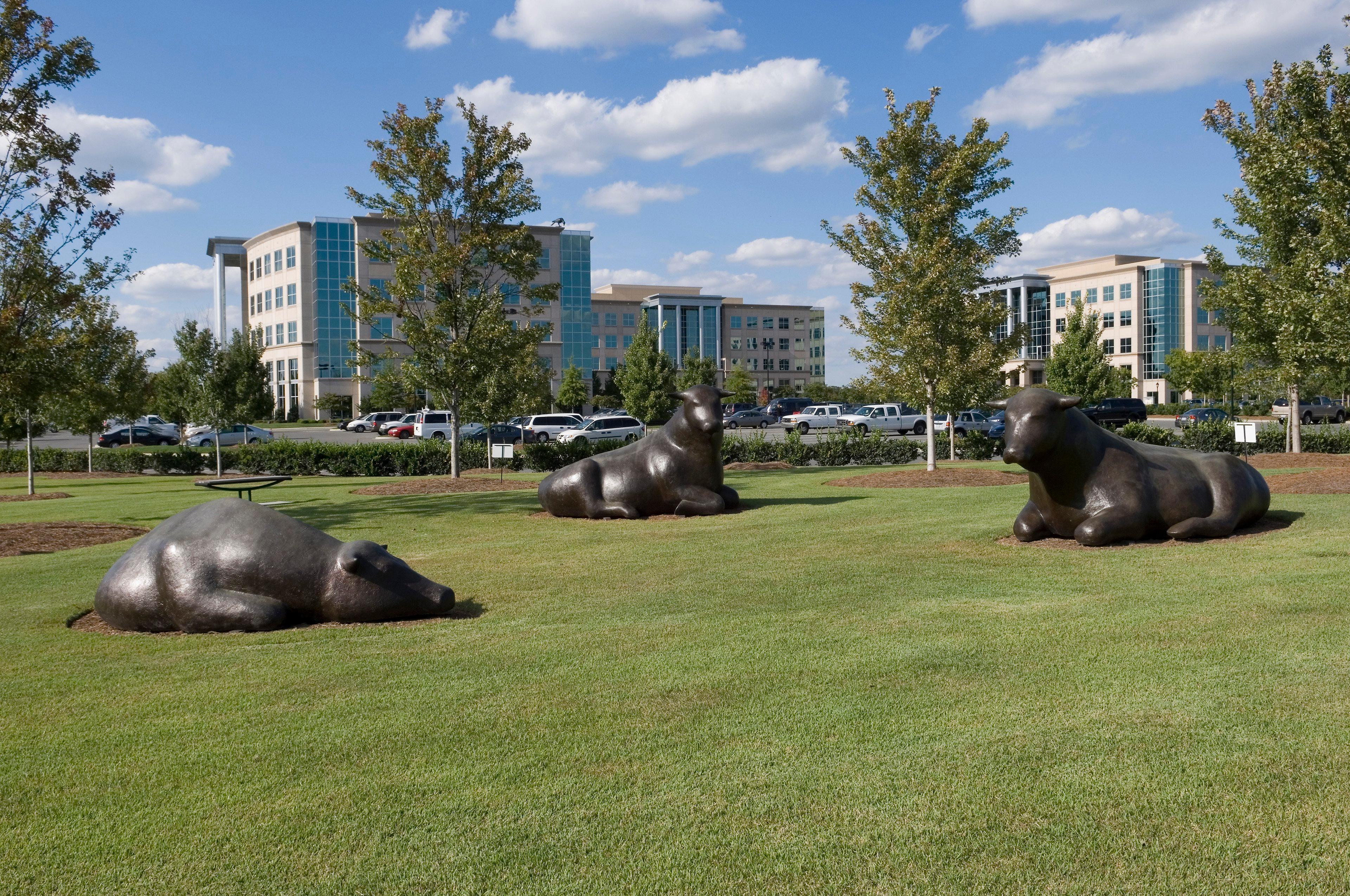 Staybridge Suites - Charlotte Ballantyne By Ihg Eksteriør billede